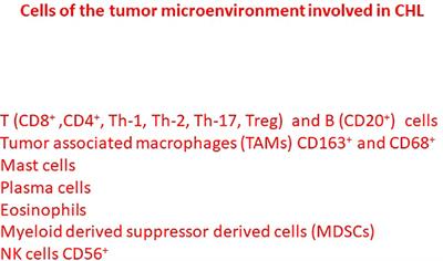 Inflammatory microenvironment in classical Hodgkin’s lymphoma with special stress on mast cells
